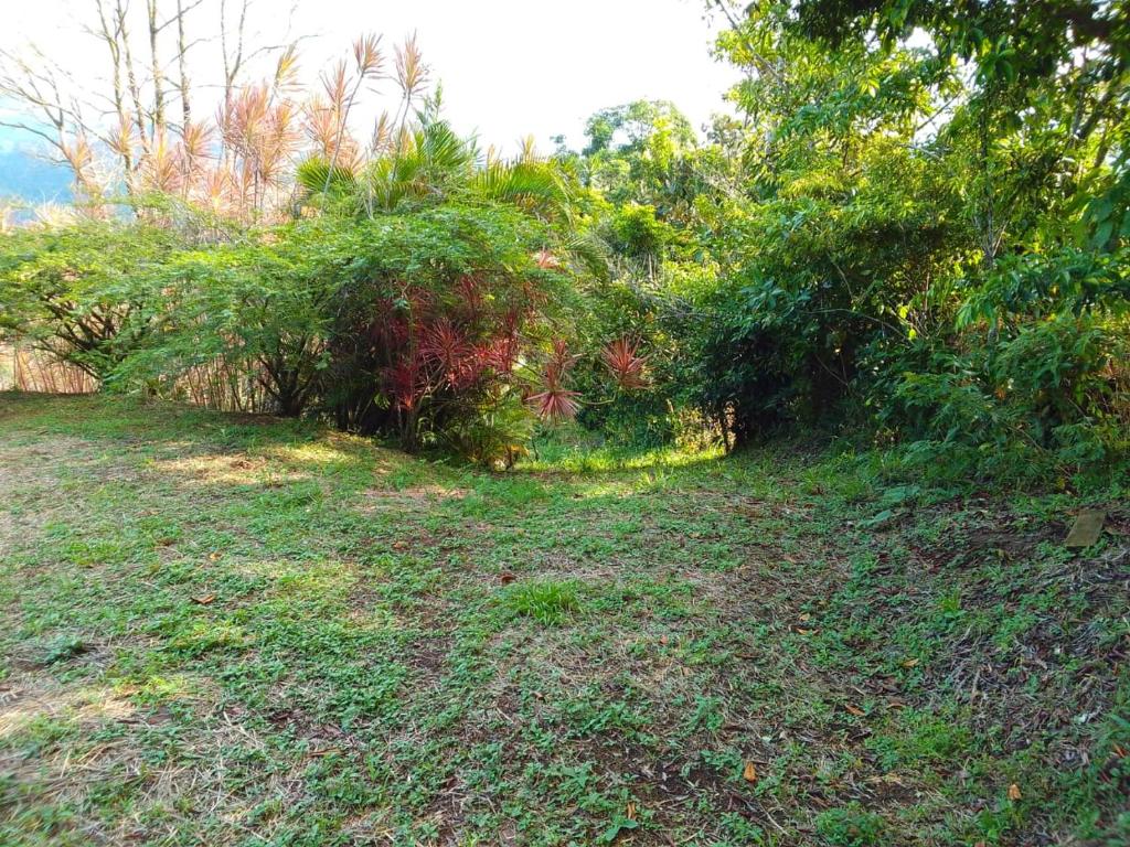 Φωτογραφία από το άλμπουμ του El Spot Orgánico σε Quesada