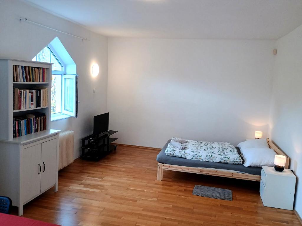 a bedroom with a bed and a book shelf at Ubytování nad kostelem in Prague