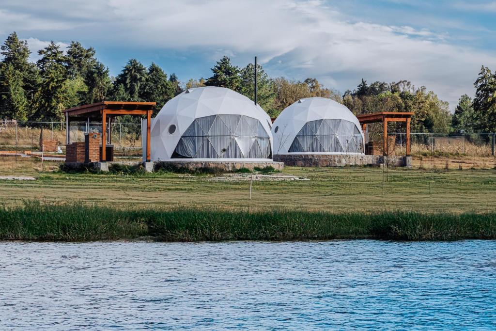 two domes in a field next to a body of water at Enxe Glamping & Spa 