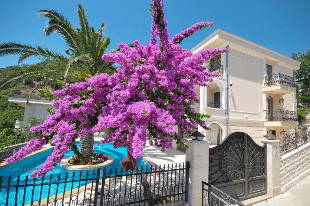uma árvore com flores roxas em frente a uma casa em Villa St.George em Petrovac na Moru