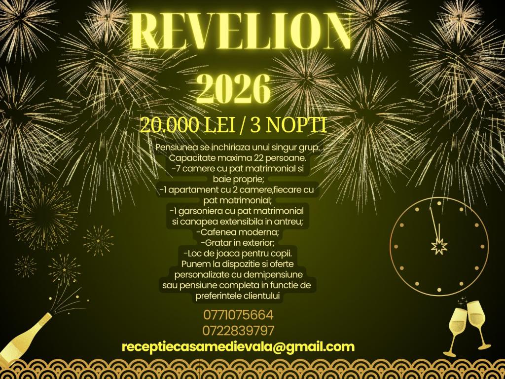 a poster for a new year celebrations with fireworks at Boutique Hotel Casa Medievala in Curtea de Argeş