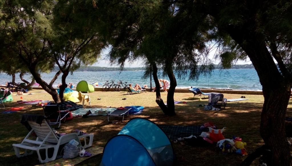un grupo de personas en una playa con árboles en Guest House Nina, en Novigrad Istria