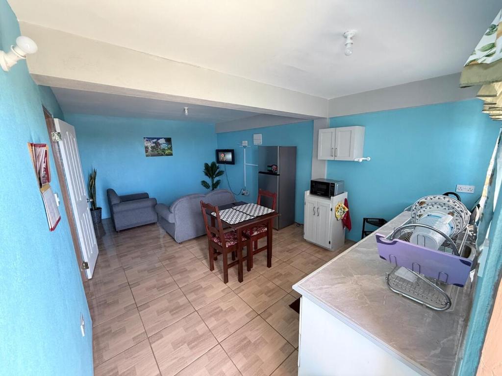 キングスタウンにあるM&G City View Apartmentsのキッチン、青い壁のリビングルーム