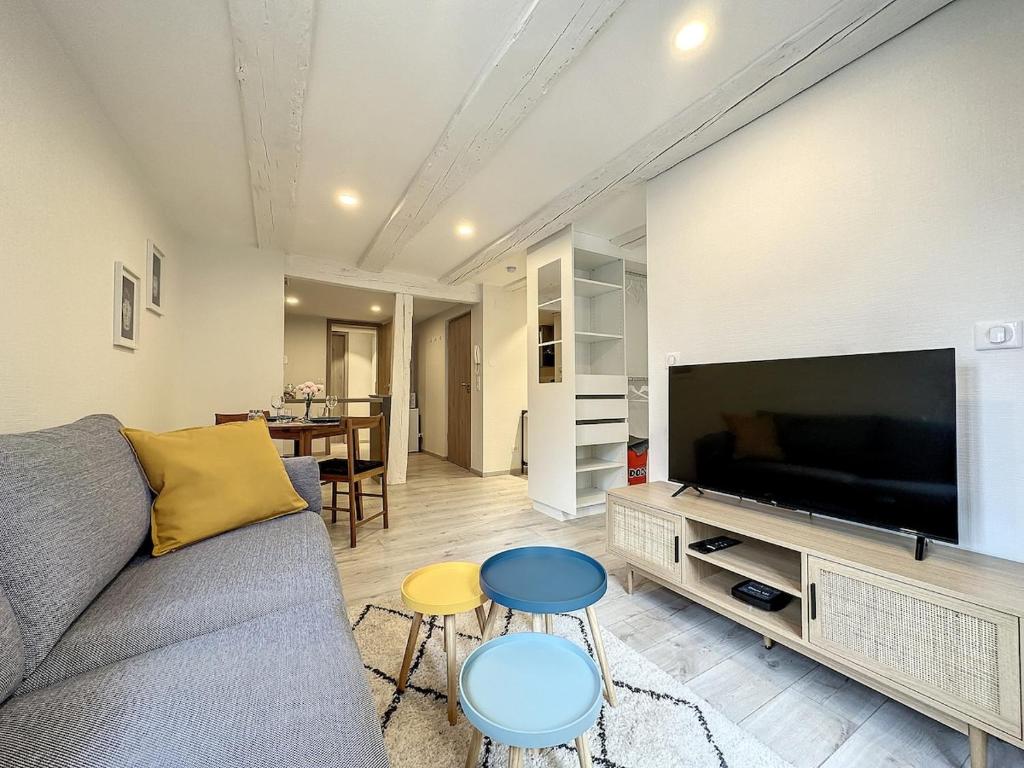 La Grenouillere Chic Appartement Centre Colmar – photo 11