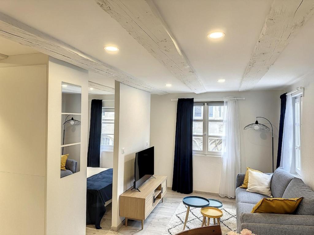 La Grenouillere Chic Appartement Centre Colmar – photo 8