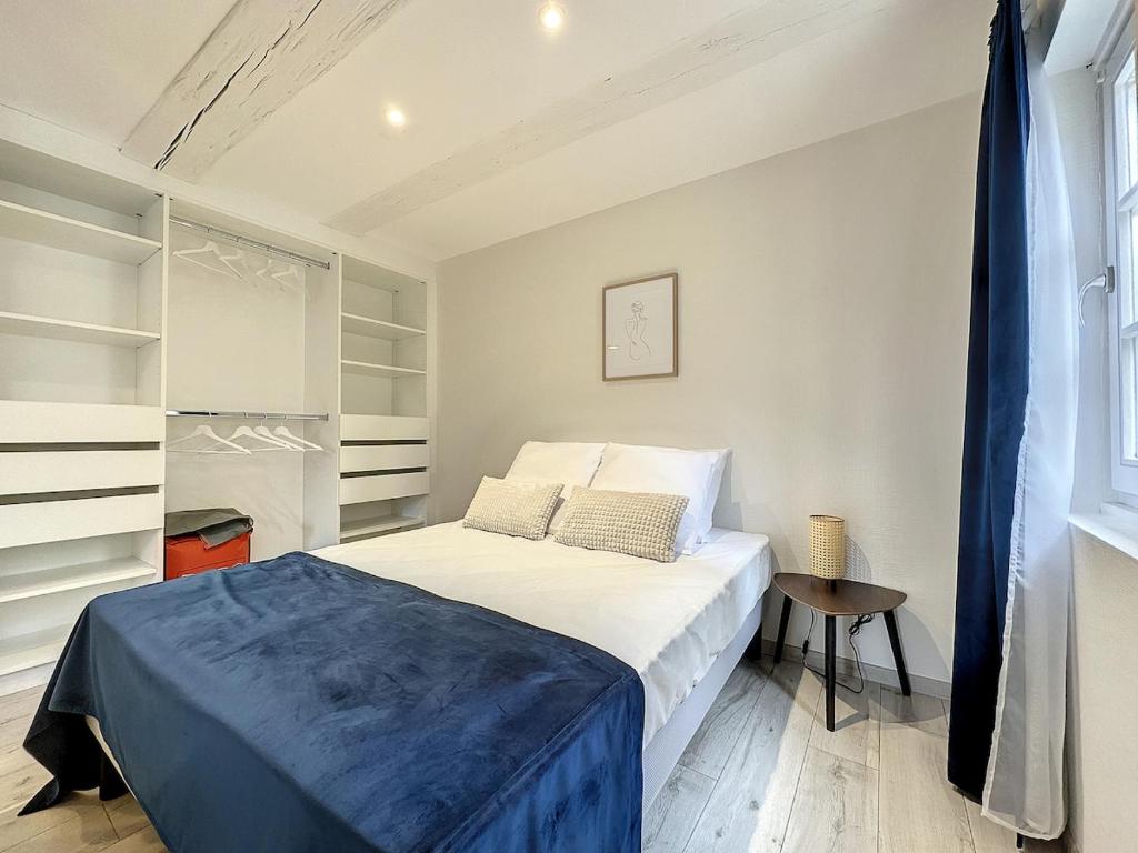 La Grenouillere Chic Appartement Centre Colmar – photo 13