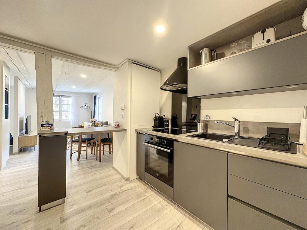 La Grenouillere Chic Appartement Centre Colmar – photo 15