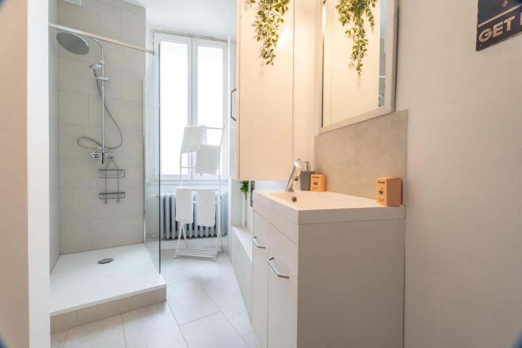Beautiful Haussmannian apartment in Mulhouse city center – photo 3