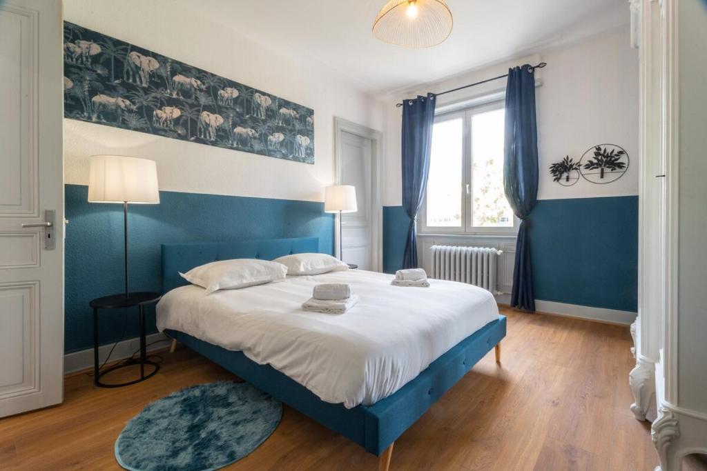 Beautiful Haussmannian apartment in Mulhouse city center – photo 2