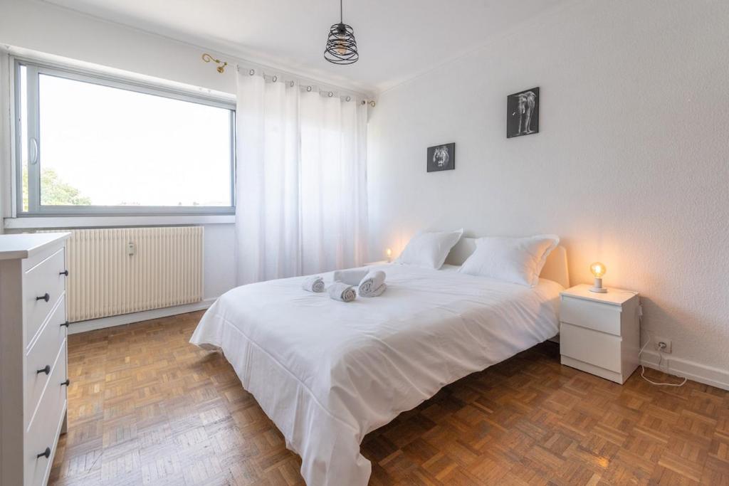 Very nice apartment, center near Colmar train station – photo 7