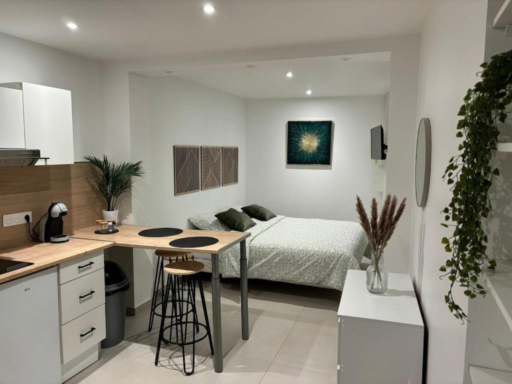 Kuchyň nebo kuchyňský kout v ubytování Cocon charmant au coeur d'Auxerre