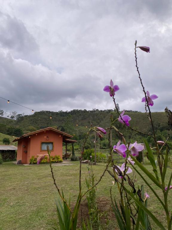 Příroda nedaleko prázdninového domu