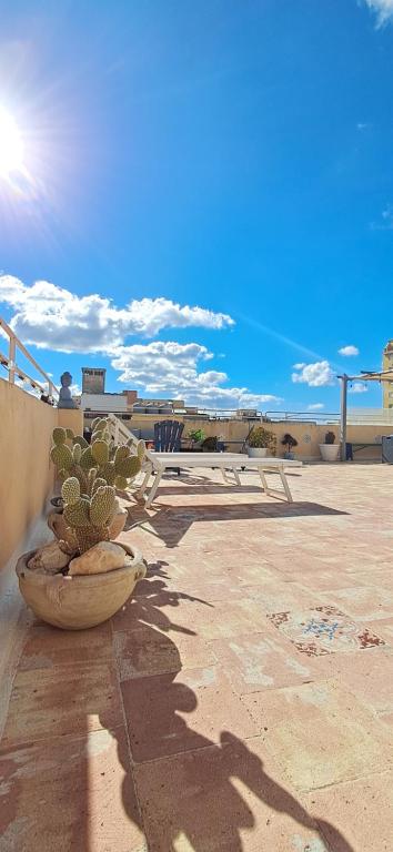een plant in een pot zittend op een patio bij LA TERRAZZA ILLUMINATA luxury ROOFTOP in Trapani