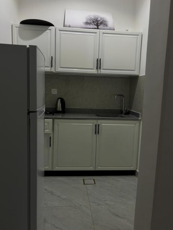 Kuchyň nebo kuchyňský kout v ubytování روڤان