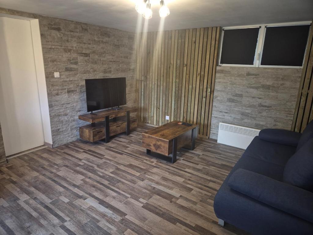 un salon avec un canapé et une télévision dans l'établissement Very nice apartment, à Saint-Paul-lès-Dax