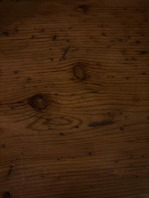 切尔滕纳姆The Old Forge的木地板的特写，上面有木结