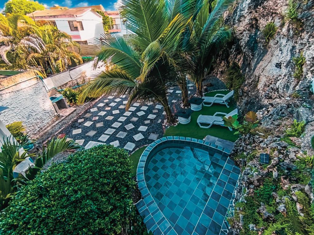 an overhead view of a swimming pool with palm trees at The Rock House Eco in San Andrés