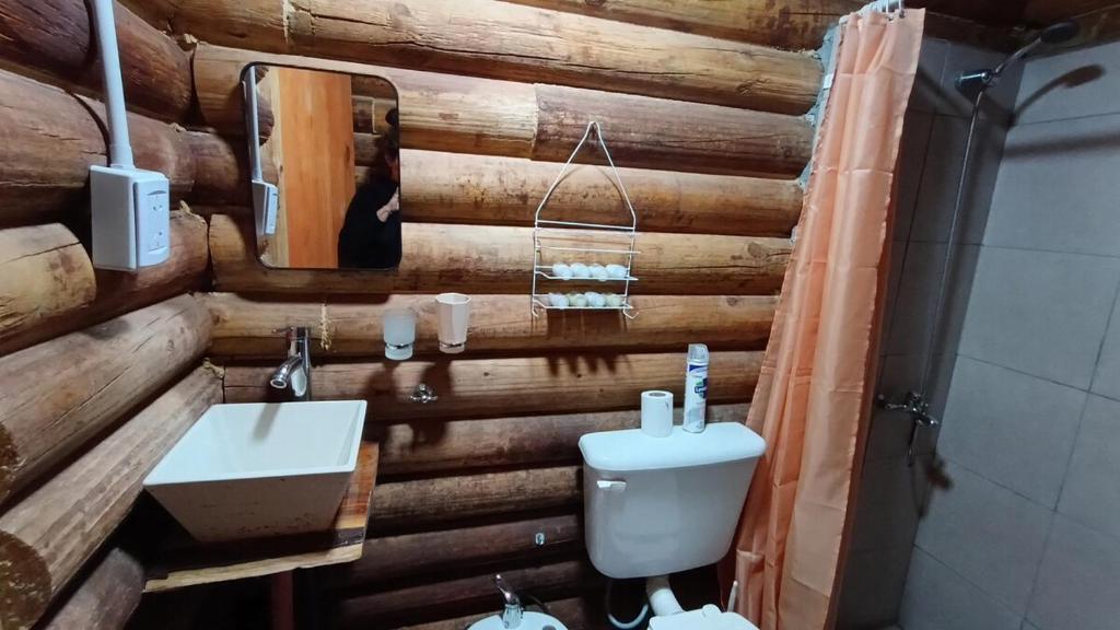 a wooden bathroom with a toilet and a sink at Cabañas Rústicas Entre Montañas in Tunuyán