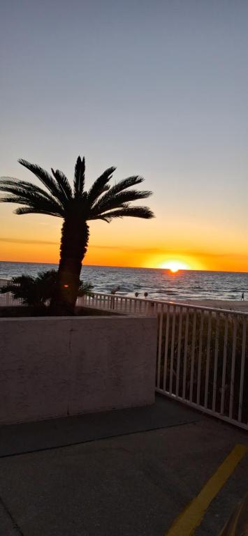 eine Palme vor dem Meer bei Sonnenuntergang in der Unterkunft ON THE BEACH! COUPLES GETAWAY,HONEYMOON SWEET, Perfectly Cozy Beach Front Condo, full kitchen, pool, free parking,CHECK-IN AT DOOR in Panama City Beach