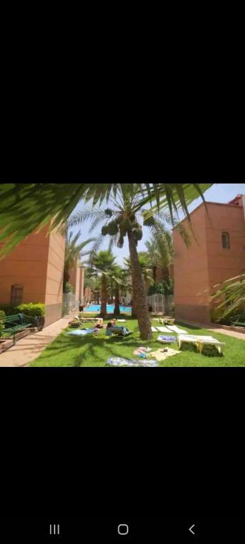 Riad Al Nakhil — photo 8