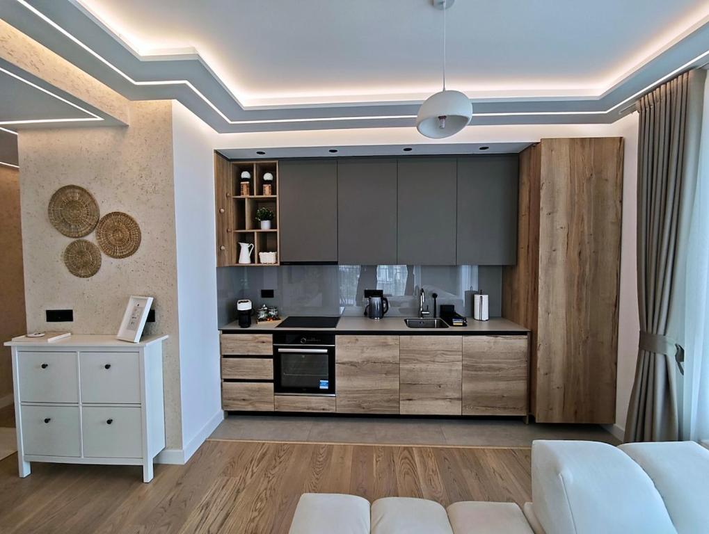 ベオグラードにあるBelgrade Waterfront Primestayのリビングルーム(ソファ付きの広いキッチン付)