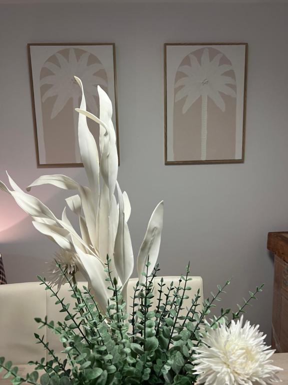 Φωτογραφία από το άλμπουμ του Ettalong Beach σε Ettalong Beach