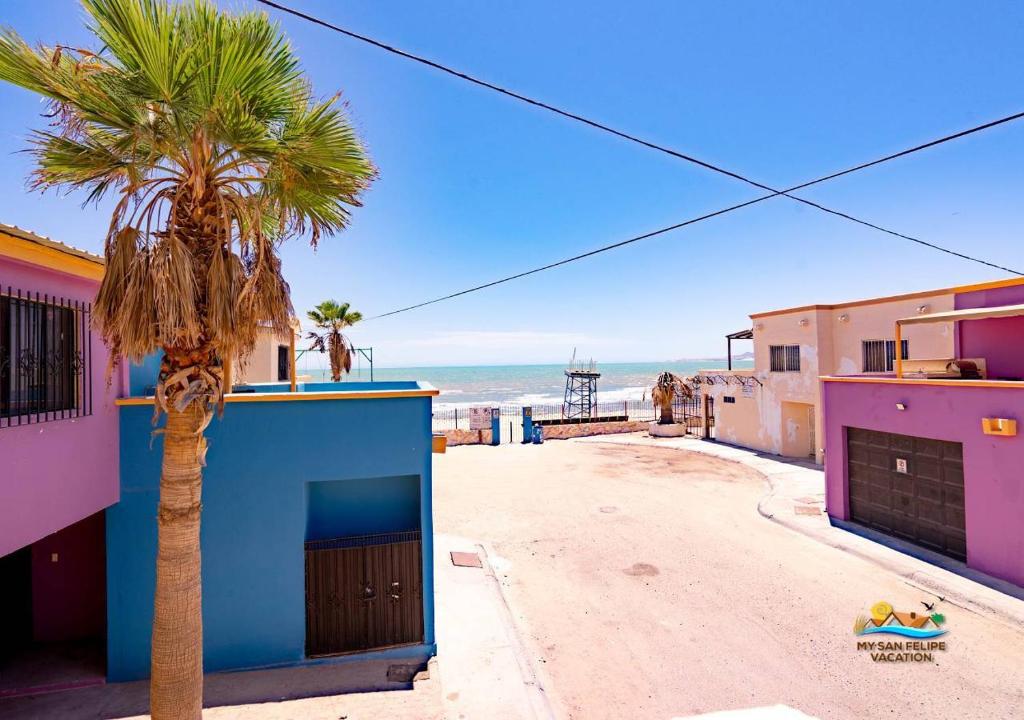 a palm tree in front of a building with the ocean at Condo 3, Easy Walk to San Felipe Malecon in San Felipe