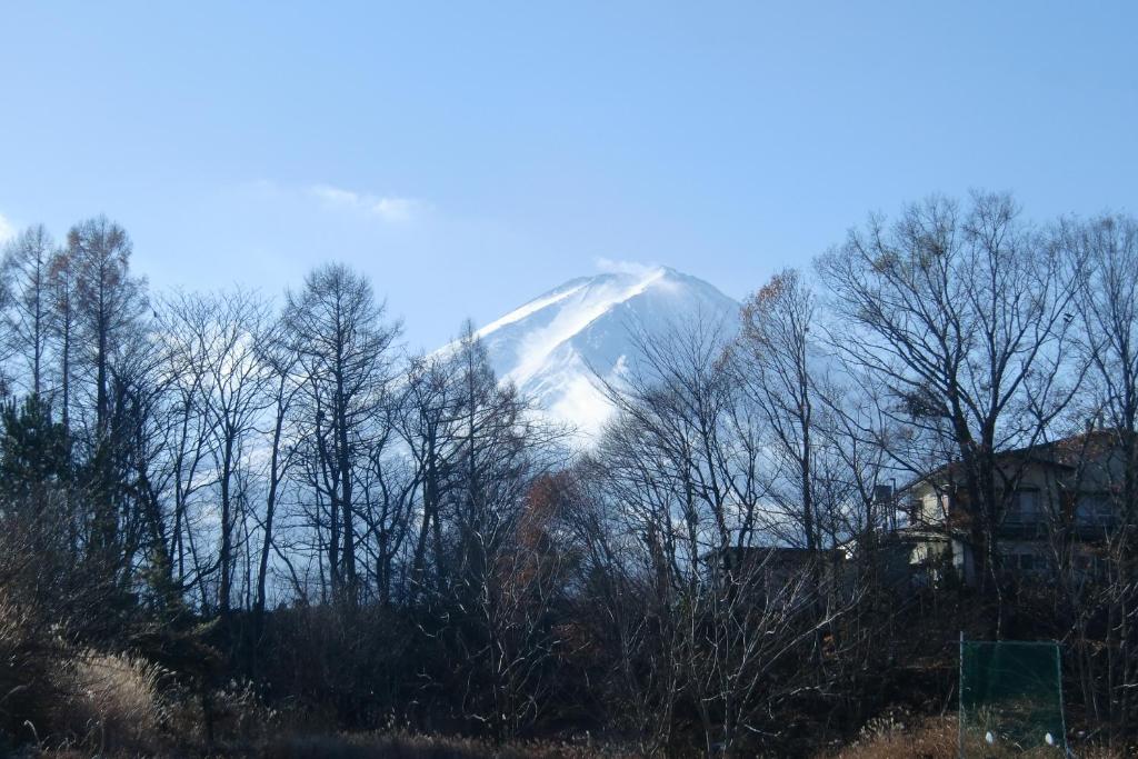 Příroda nedaleko vily