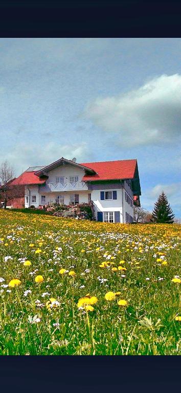 a house on a hill with a field of flowers at Ferienhof Krug in Wiggensbach