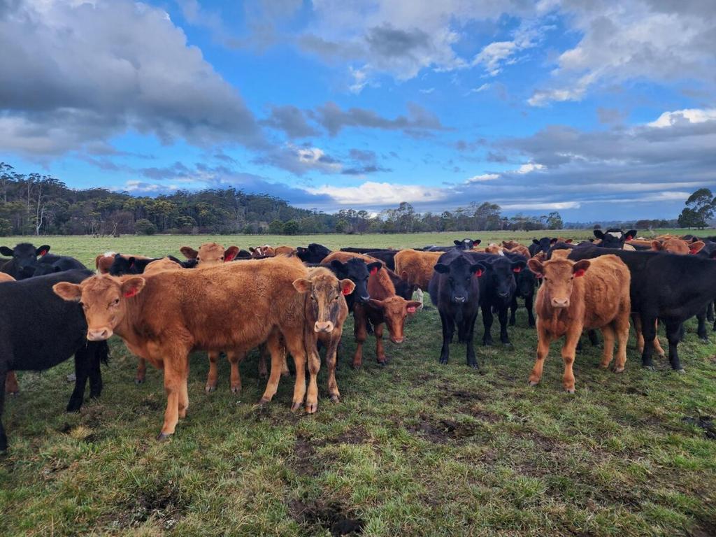 Φωτογραφία από το άλμπουμ του Luxury farm stay with outdoor jacuzzi σε St Helens
