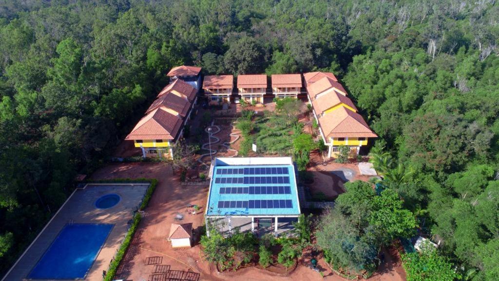 Bazén v ubytování Paradise Auro Jungle Resort nebo v jeho okolí