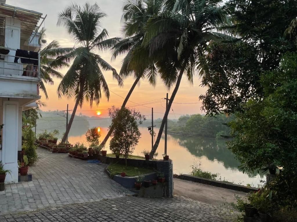 con vistas a un río al atardecer con palmeras en Leela, en Green Island