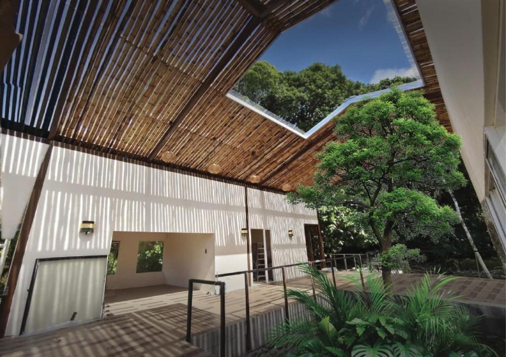 Zahrada ubytování Borneo Nature Lodge 2