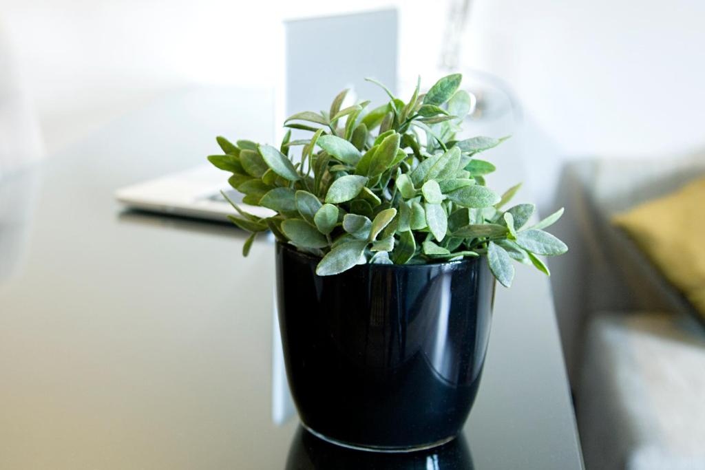 Quentin Boutique Hotel - Resim 41