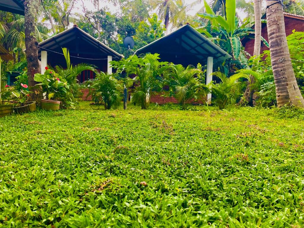 Κήπος έξω από το Osheen Homestay Sigiriya