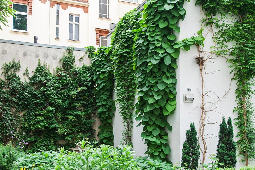 Quentin Design Hotel Berlin - Resim 20