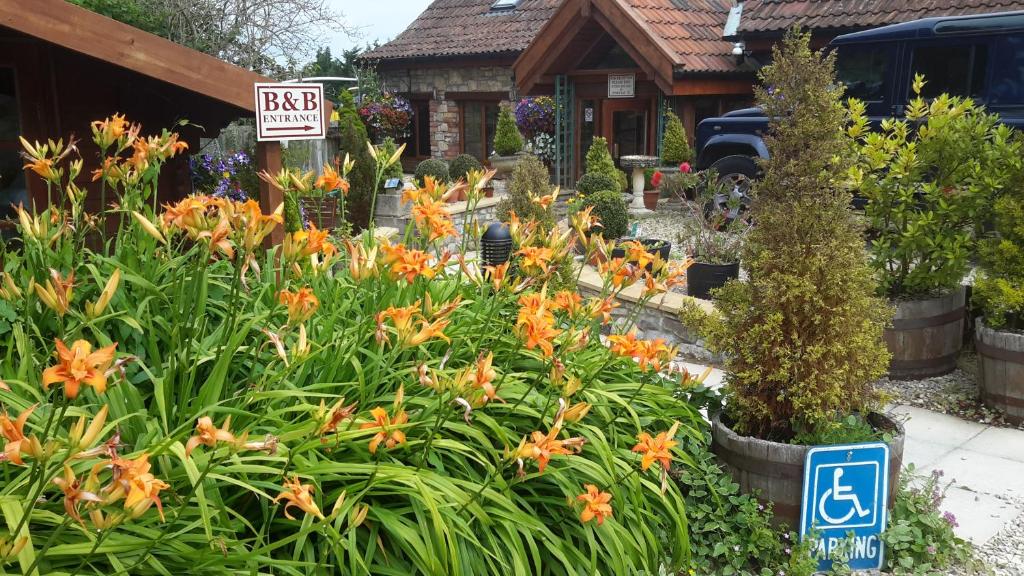 a garden with orange flowers in front of a house at Bridge Farm Guesthouse rooms in Bristol