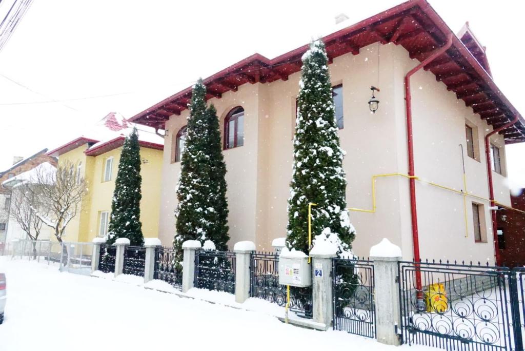 a house with christmas trees in the snow at Vila Simon in Câmpulung Moldovenesc