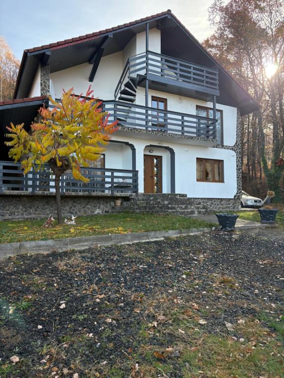 ein weißes Haus mit einem Baum davor in der Unterkunft Panorama Challet in Gura Râului
