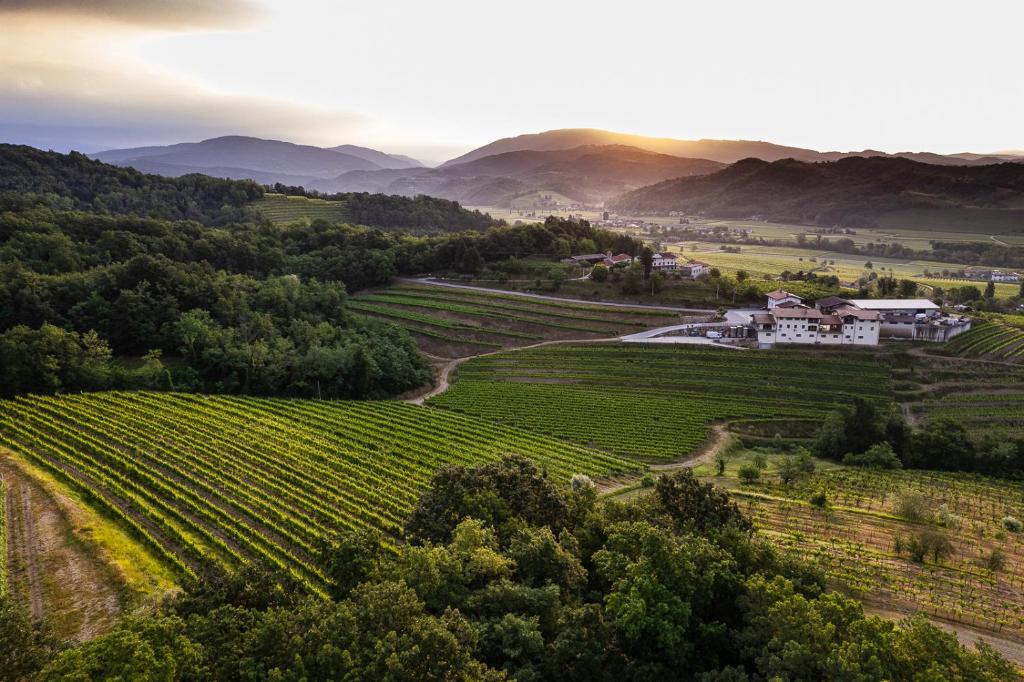 an aerial view of a vineyard with a house in the middle at Vie D'Alt Wine and Rooms 