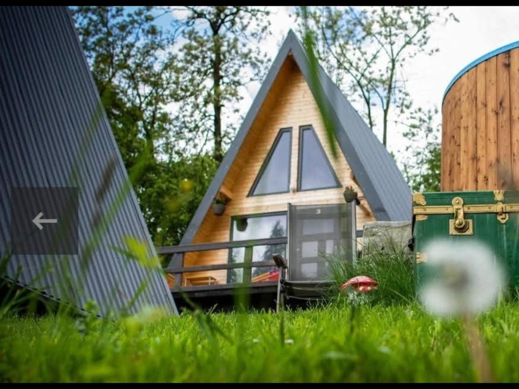 a small house with a pitched roof in the grass at Carpatina Runcu căsuțe tip A in Runcu