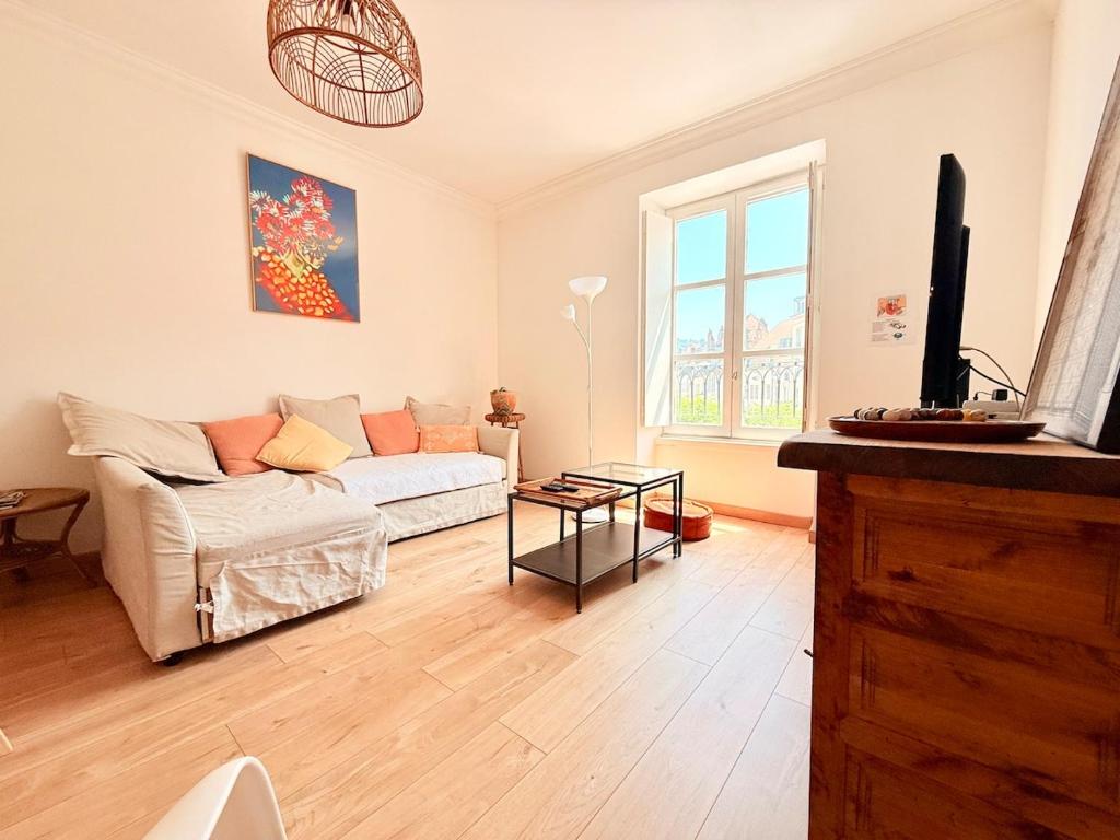 a living room with a couch and a tv at Vue rivière imprenable, 2 chambres, centre-ville in Besançon