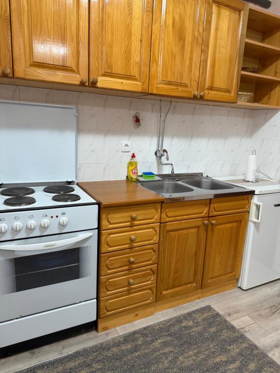 Een keuken of kitchenette bij Ski kuca Elbrus