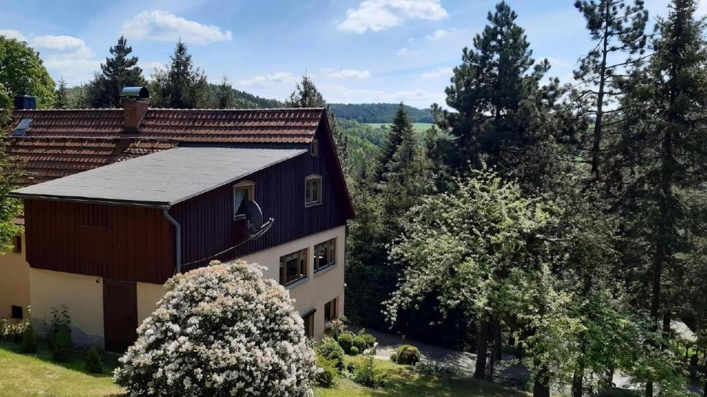 a house in the middle of a forest at Bergnest in Bad Gottleuba