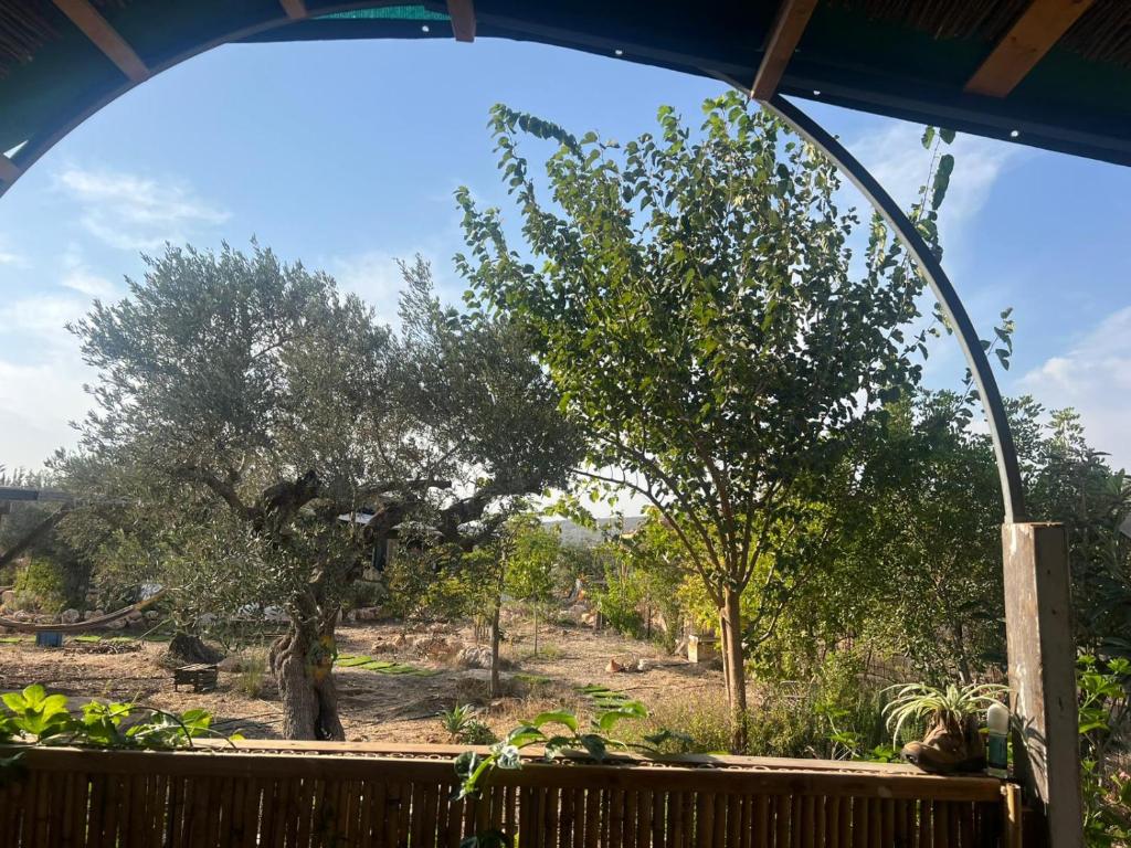 Clilにあるהקרון הקסוםの窓から木の景色