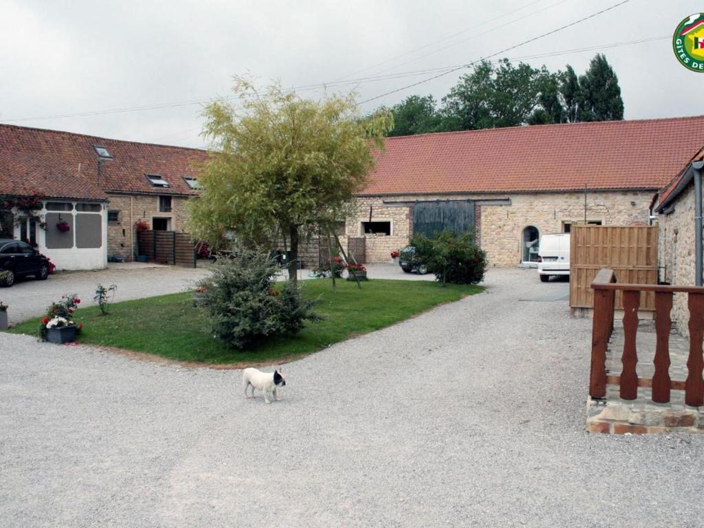 a black and white cat standing in front of a building at Gîte cosy 3 chambres à 3 km de la mer avec jardin, terrasse, WIFI et animaux acceptés - FR-1-376-24 in Beuvrequen