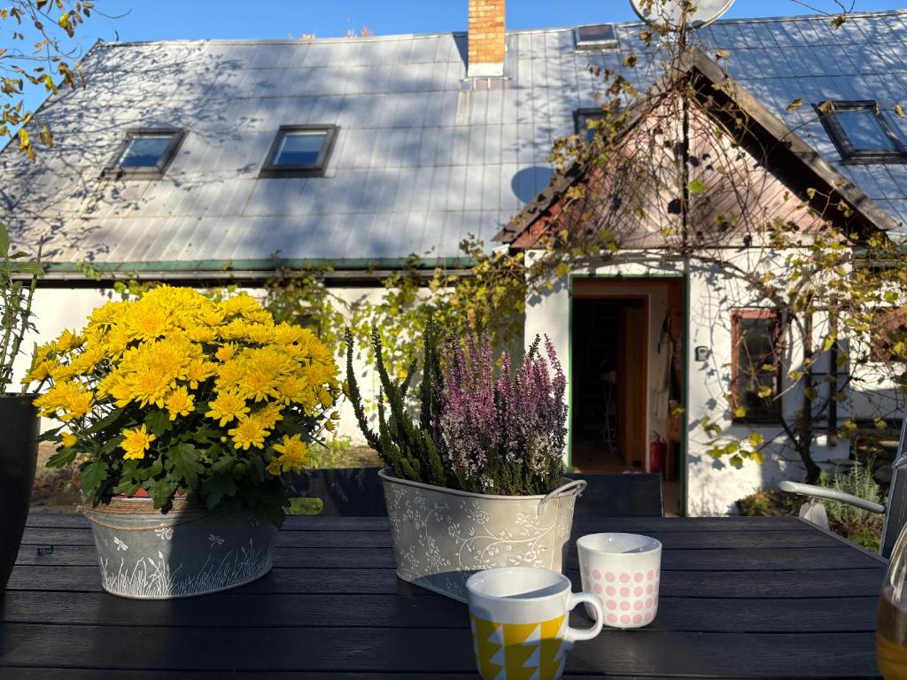 Una mesa con dos tazas y flores. en Venkovský Útulek, en Lázně Libverda