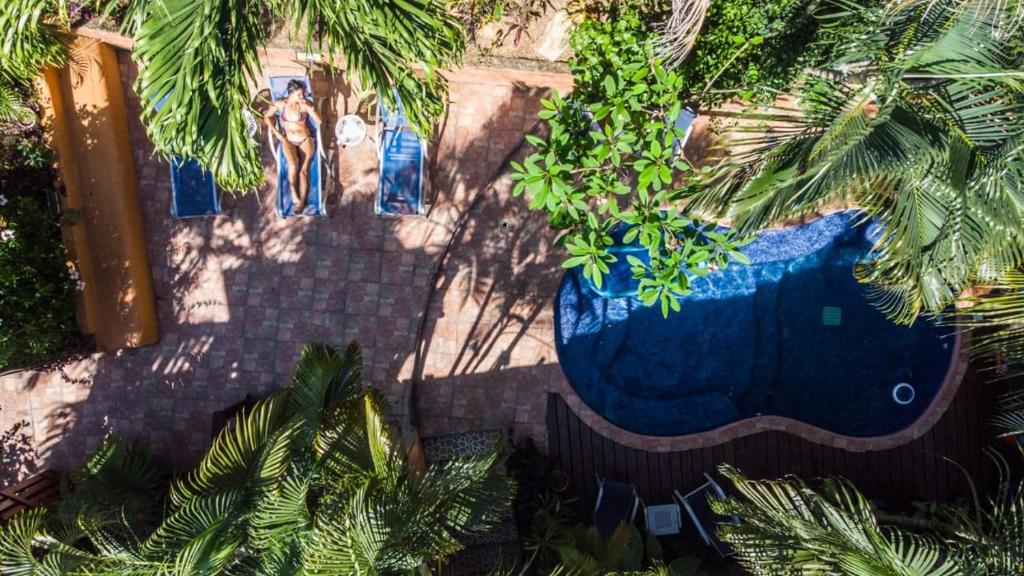 a large blue vase with plants in it at Roatan Backpackers' Hostel in Sandy Bay