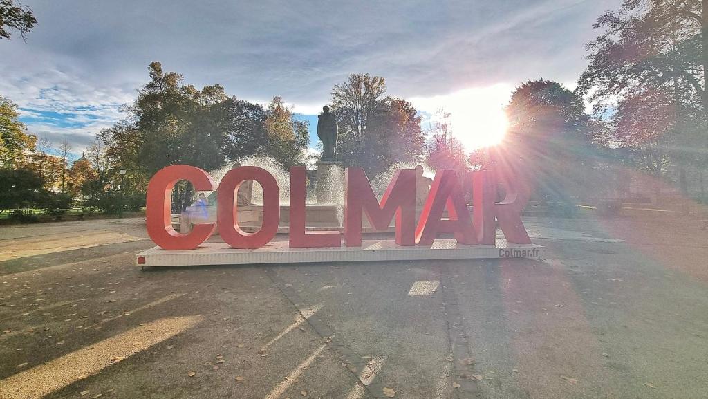L'Observatoire - Centre Colmar - Vue sur Parc – Foto 15
