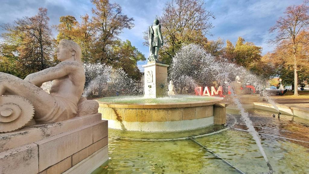 L'Observatoire - Centre Colmar - Vue sur Parc – Foto 25